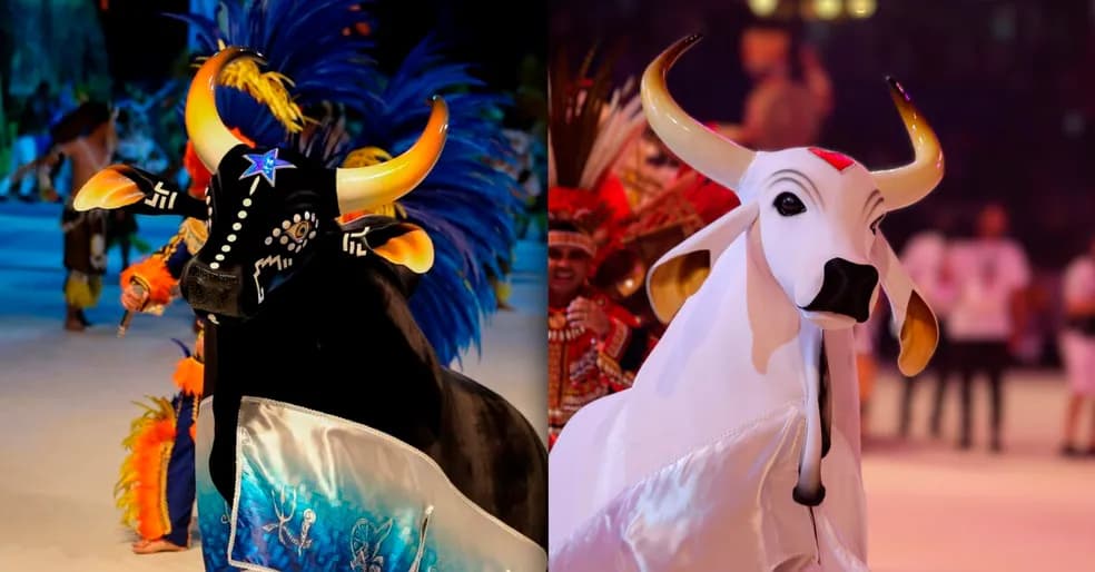 Festival de Parintins